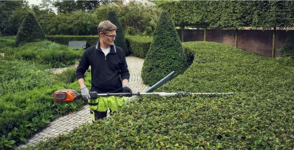 Klipning af hæk