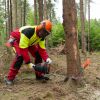 Bahco fældejern med vendekrog (130 cm)
