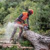 HUSQVARNA 545 Mark II Motorsav