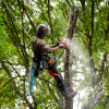 HUSQVARNA 550i XP Kædesav - Uden batteri og lader