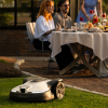 HUSQVARNA Automower 450V NERA robotplæneklipper