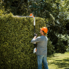 STIHL HLA 56 Stanghækkeklipper