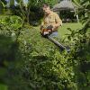 STIHL HSA 60 Hækkeklipper