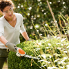 STIHL HSA 26 Busktrimmer - Uden batteri og lader