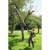 STIHL HTA 135 Stangsav - Uden batteri og lader