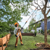 STIHL HTA 30 Stangsav - Uden batteri og lader