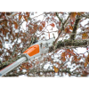 STIHL HTA 50 Stangsav - Med batteri og lader
