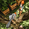 STIHL HTA 30 Stangsav - Uden batteri og lader