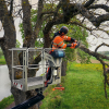 HUSQVARNA 540 XP® Mark III Motorsav