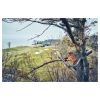 HUSQVARNA T542i XP® G