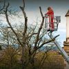 STIHL MS 201 TC-M Motorsav