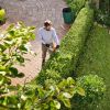 STIHL HSA 30 Hækkeklipper - Med batteri og lader