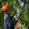 STIHL HTA 66 Stangsav