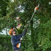 STIHL HTA 66 Stangsav