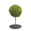 NGP Tree-Cover Ø 60 cm