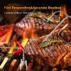 Inkbird BBQ Controller