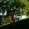 Segway Navimow X420E Trådløs Robotplæneklipper