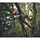 STIHL MSA 190 T Kædesav - Uden batteri og lader